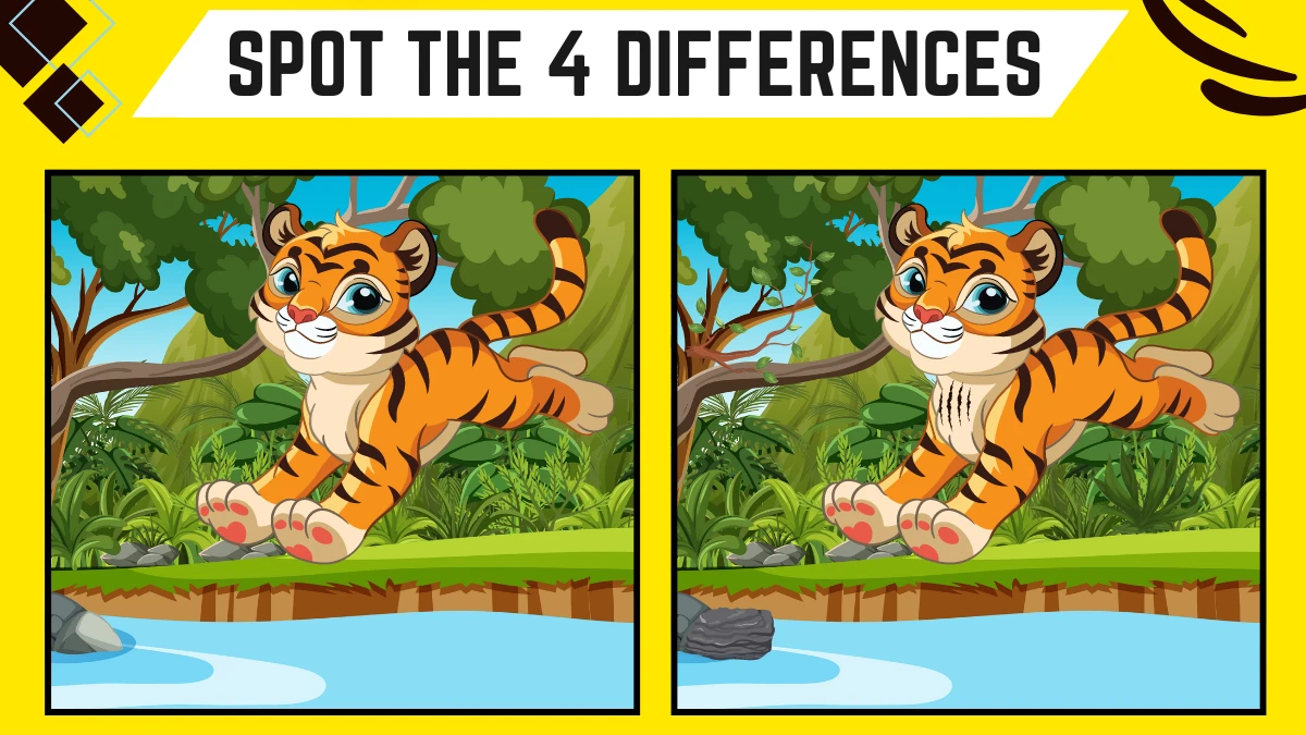 Optical Illusion Spot the Difference Picture Puzzle Game: Only People with Eagle Eyes Can Spot the 4 Differences in this Baby Tiger Image within 10 Secs