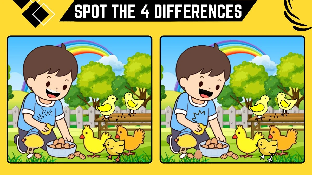 Optical Illusion Spot the Difference Picture Puzzle Game: Only Sharp Eyes Can Spot the 4 Differences in this Boy and his Chicks Image in 12 Secs