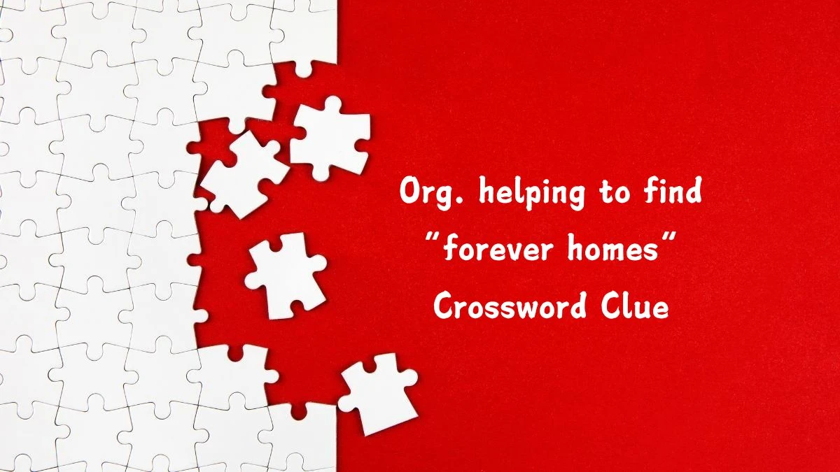 Org. helping to find “forever homes” NYT Crossword Clue Answer on July 12, 2024