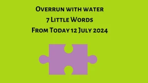 Overrun with water 7 Little Words Puzzle Answer from July 12, 2024