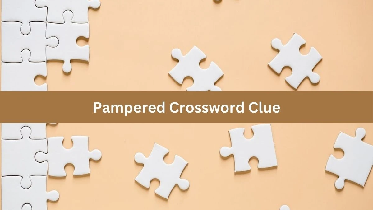 USA Today Pampered Crossword Clue Puzzle Answer from July 31, 2024