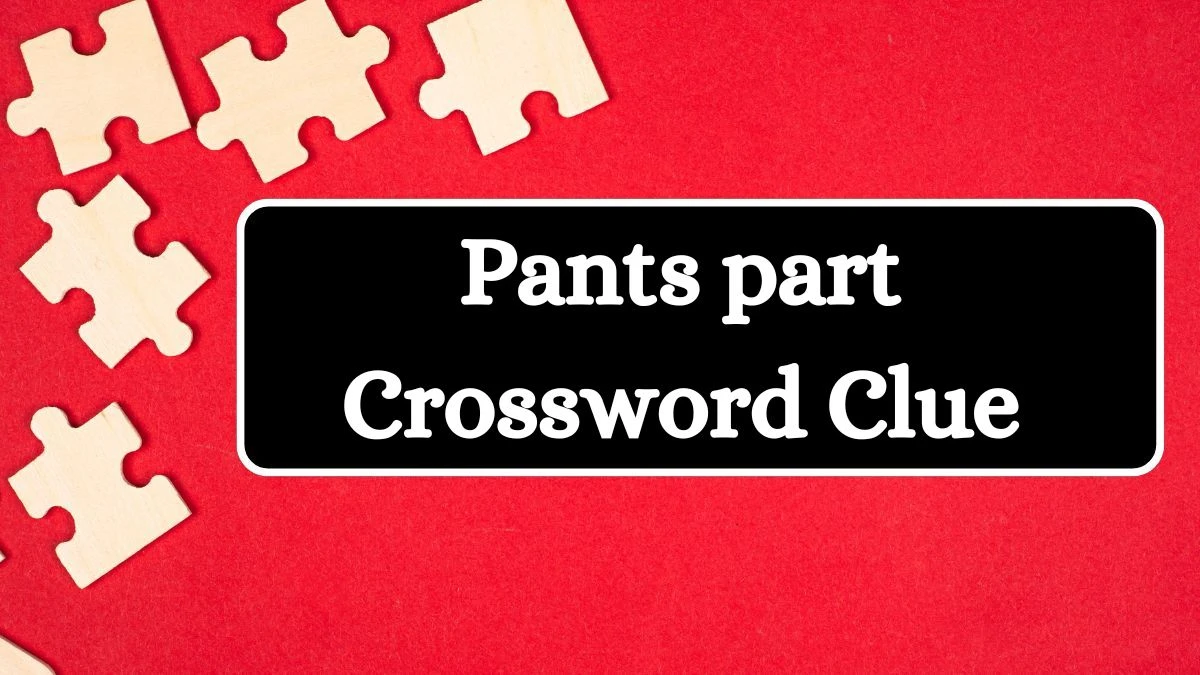 LA Times Pants part Crossword Clue Puzzle Answer from July 10, 2024