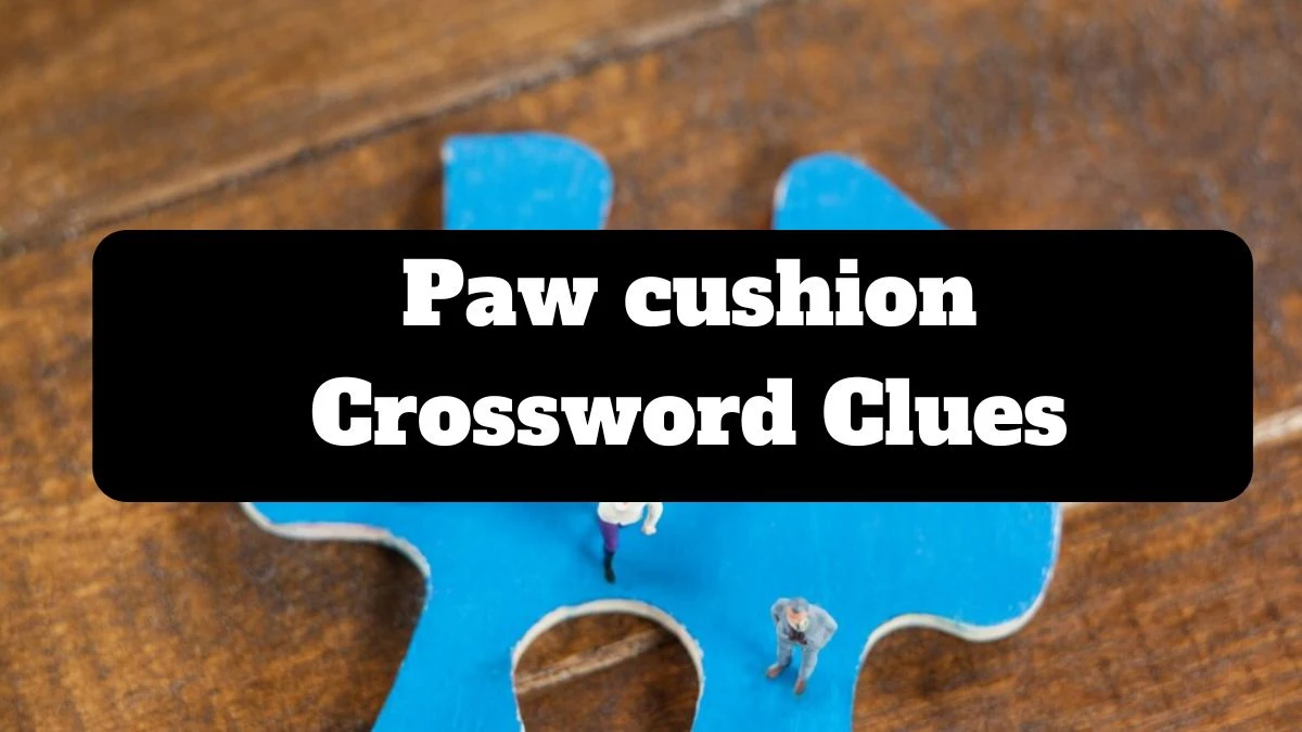 LA Times Paw cushion Crossword Clue Puzzle Answer from July 19, 2024