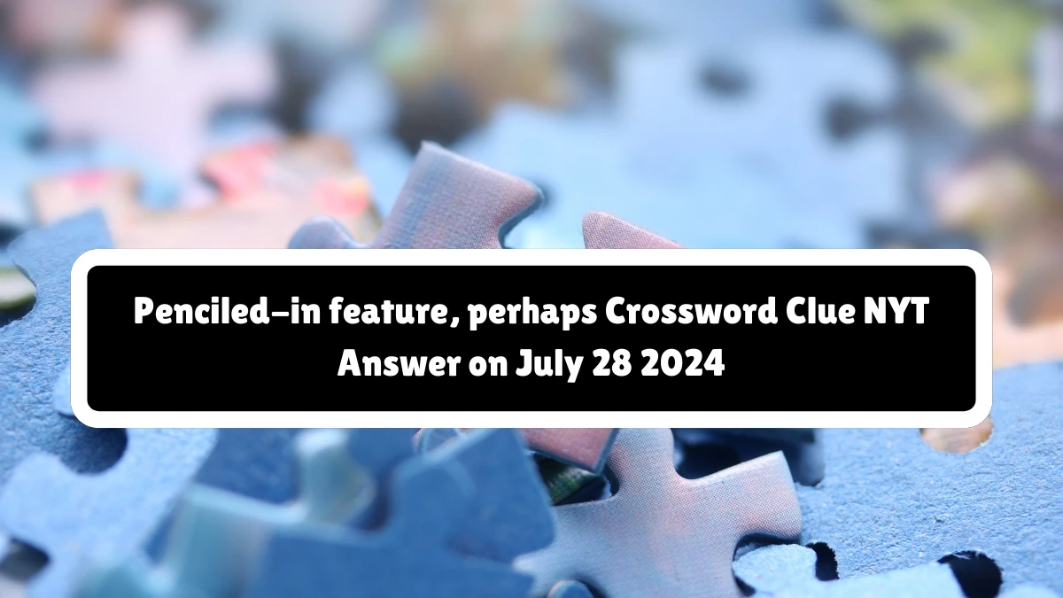 NYT Penciled-in feature, perhaps Crossword Clue Puzzle Answer from July 28, 2024