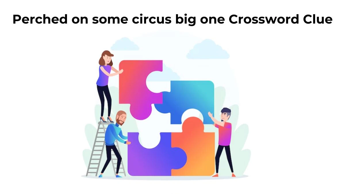 Perched on some circus big one Crossword Clue Puzzle Answer from July 13, 2024