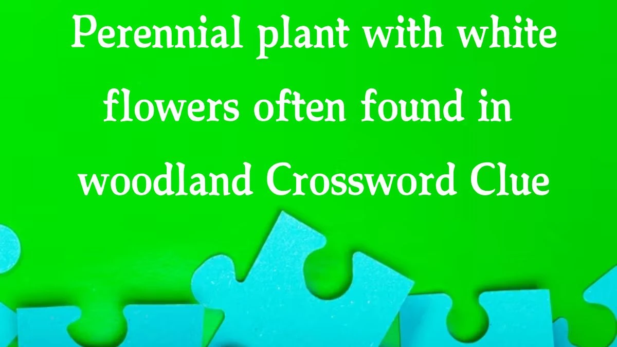 Perennial plant with white flowers often found in woodland (4,2,9) Crossword Clue Answers on August 01, 2024