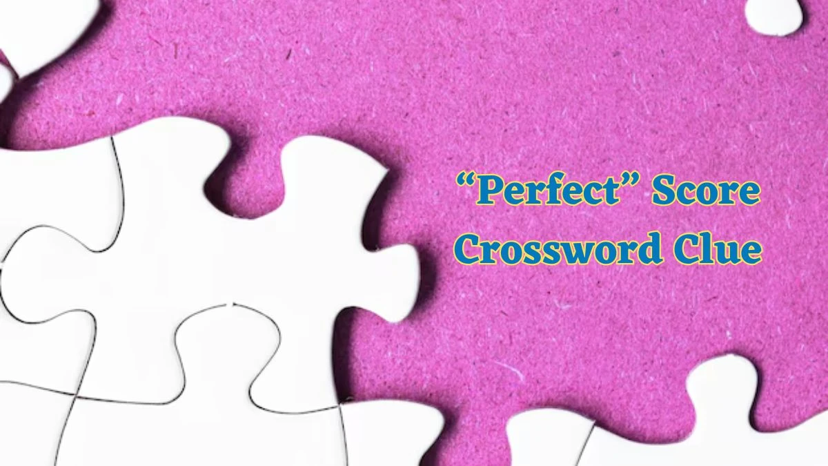 “Perfect” Score Daily Commuter Crossword Clue Puzzle Answer from July 01, 2024