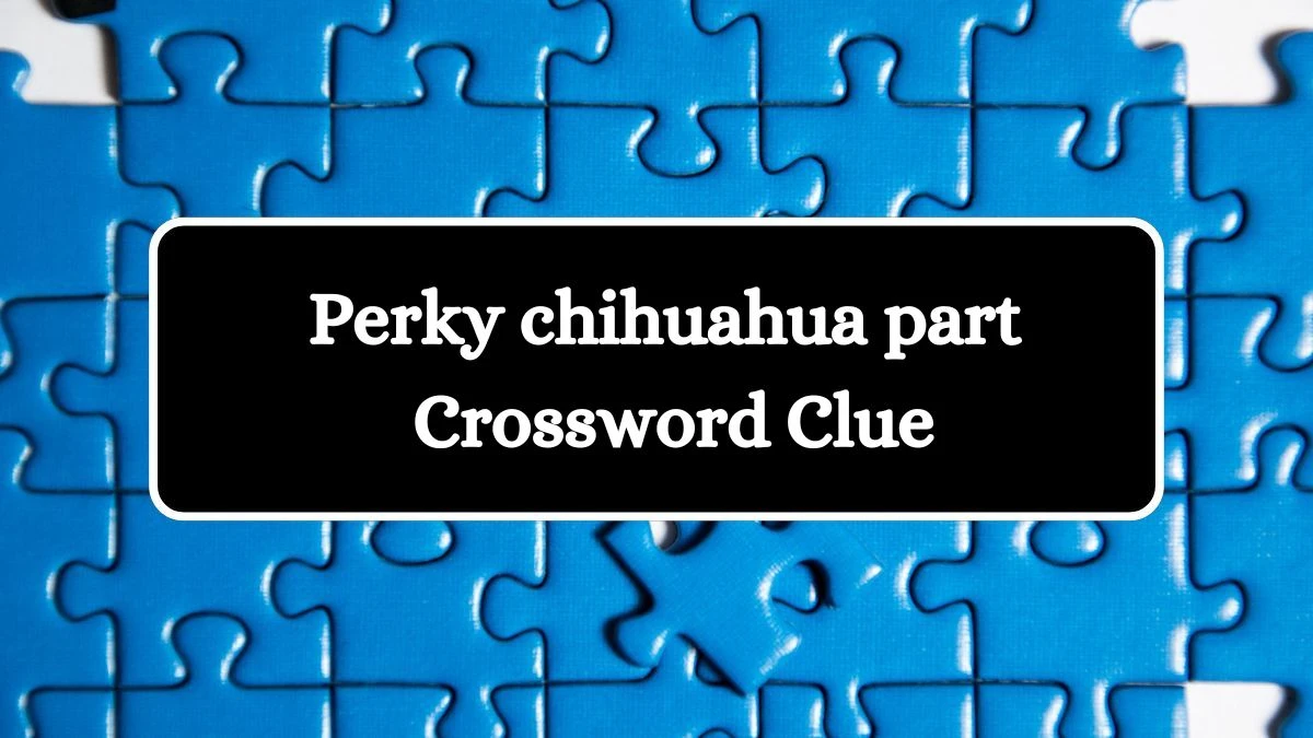 Daily Themed Perky chihuahua part Crossword Clue Puzzle Answer from July 16, 2024