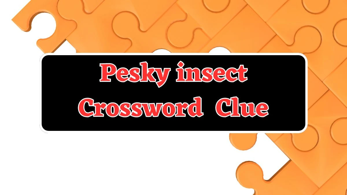 Pesky insect Daily Themed Crossword Clue Answers on July 25, 2024