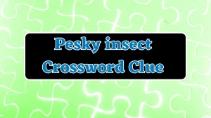 Pesky insect Daily Commuter Crossword Clue Puzzle Answer from July 29, 2024