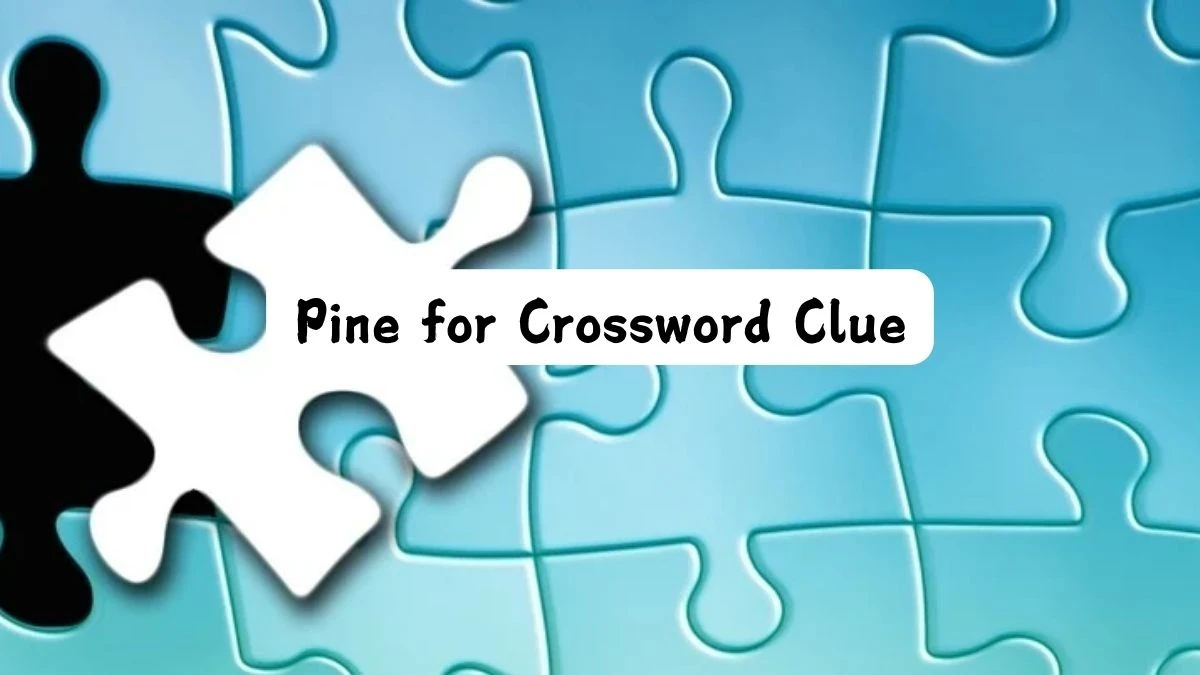 Pine for Irish Daily Mail Quick Puzzle Answer from July 24, 2024