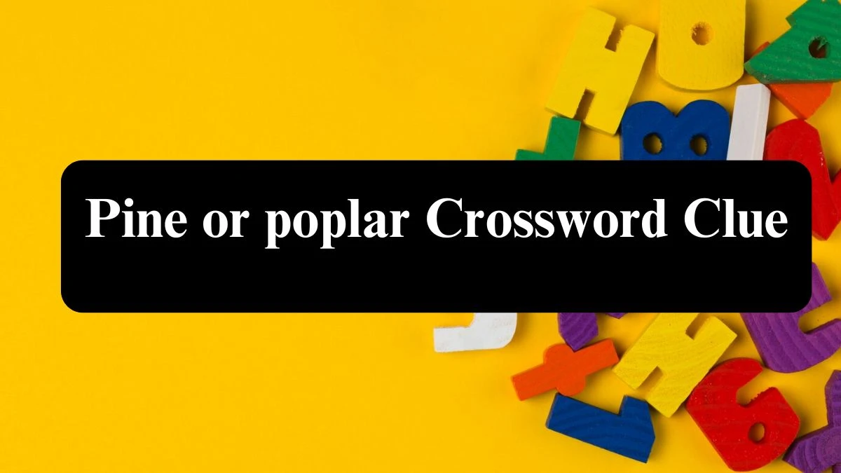 Pine or poplar Daily Commuter Crossword Clue Puzzle Answer from July 26, 2024