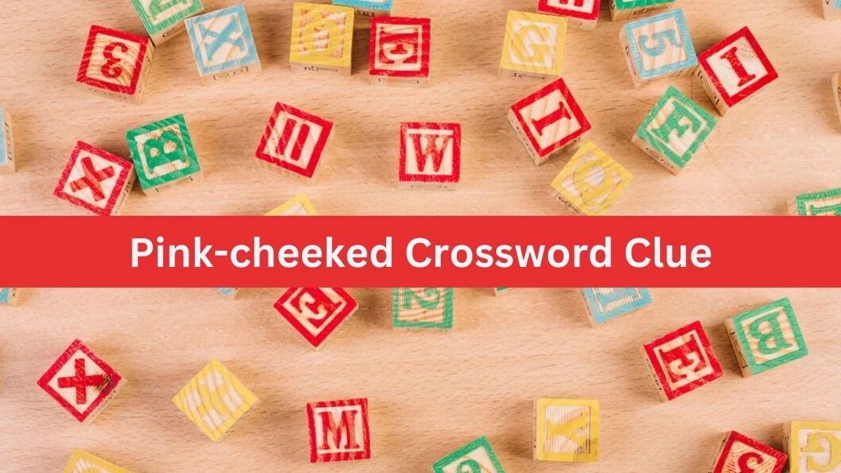 LA Times Pink-cheeked Crossword Clue Puzzle Answer from July 21, 2024