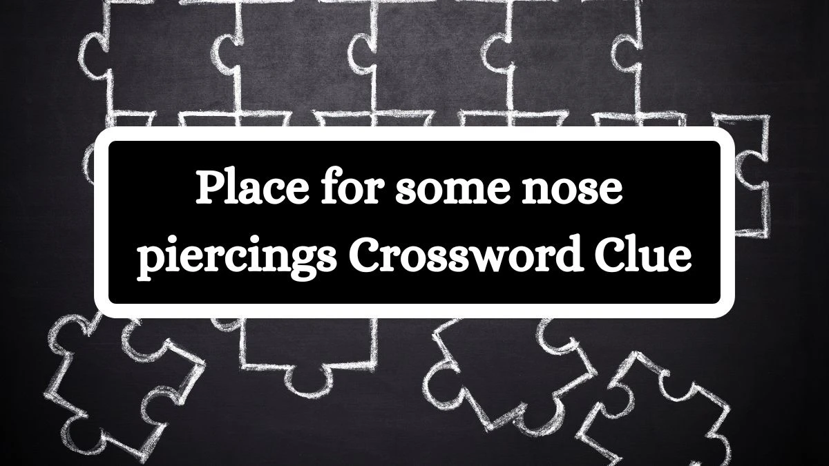 USA Today Place for some nose piercings Crossword Clue Puzzle Answer from July 08, 2024