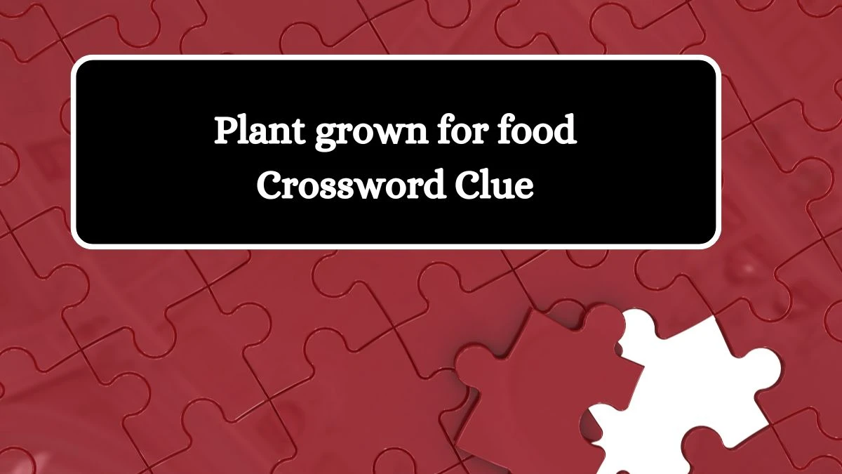 Plant grown for food Daily Commuter Crossword Clue Puzzle Answer from July 11, 2024