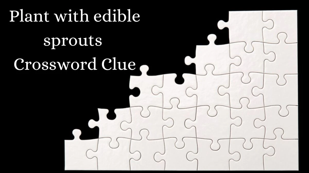 Plant with edible sprouts NYT Crossword Clue Puzzle Answer from July 24, 2024