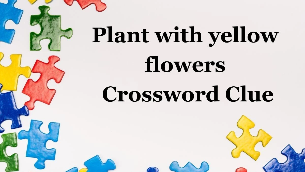 Plant with yellow flowers Irish Daily Mail Quick Crossword Clue Answers on July 02, 2024