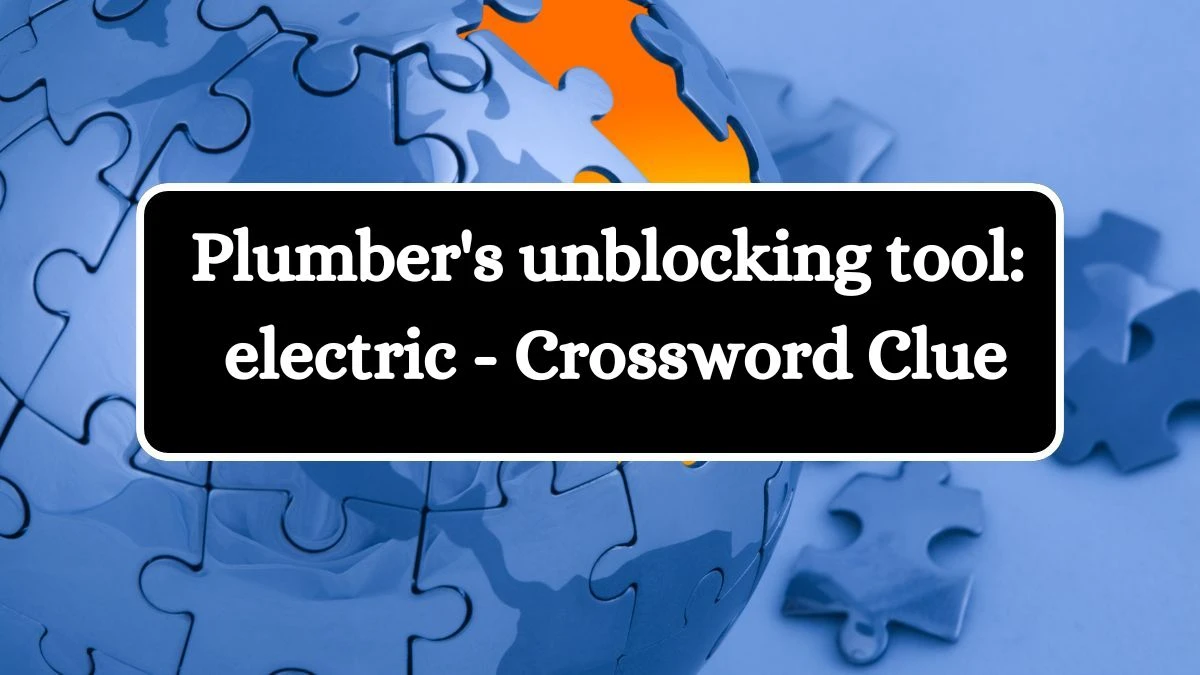 Plumber's unblocking tool: electric - Crossword Clue Answers on July 04, 2024