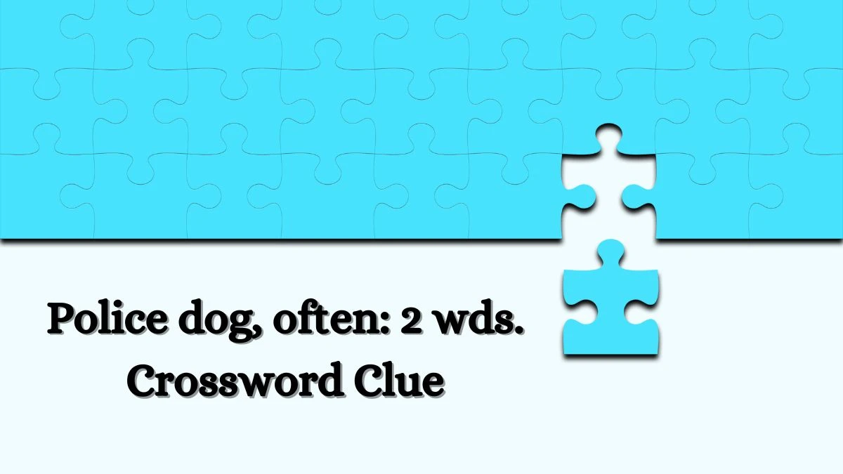 Police dog, often: 2 wds. Daily Commuter Crossword Clue Puzzle Answer from July 08, 2024