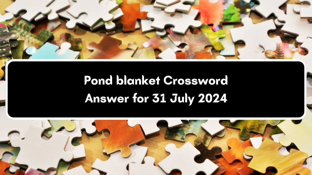 Pond blanket Crossword Clue Puzzle Answer from July 31, 2024