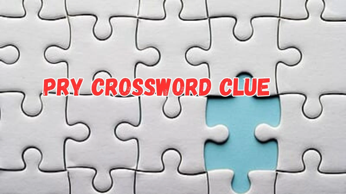 Daily Commuter Pry Crossword Clue Puzzle Answer from July 17, 2024