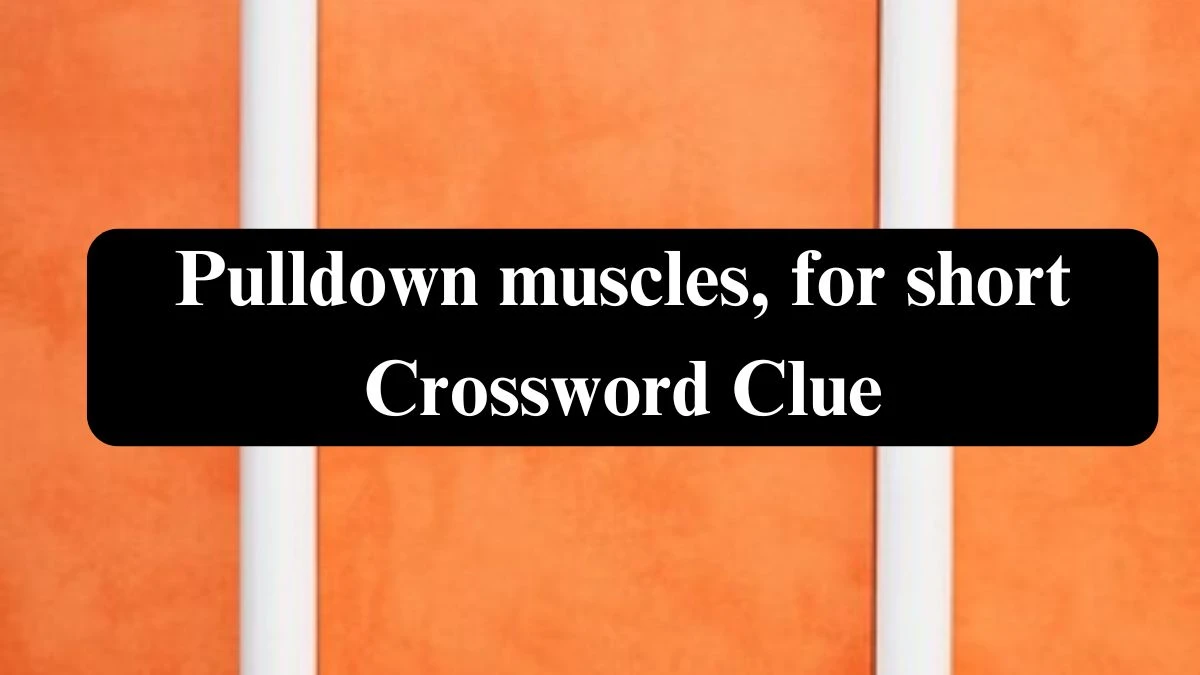 Pulldown muscles, for short Daily Commuter Crossword Clue Puzzle Answer from July 26, 2024