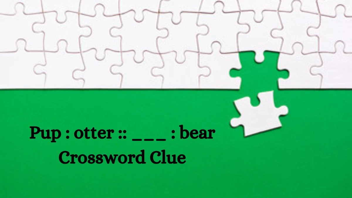 NYT Pup : otter :: ___ : bear Crossword Clue Puzzle Answer from July 23, 2024