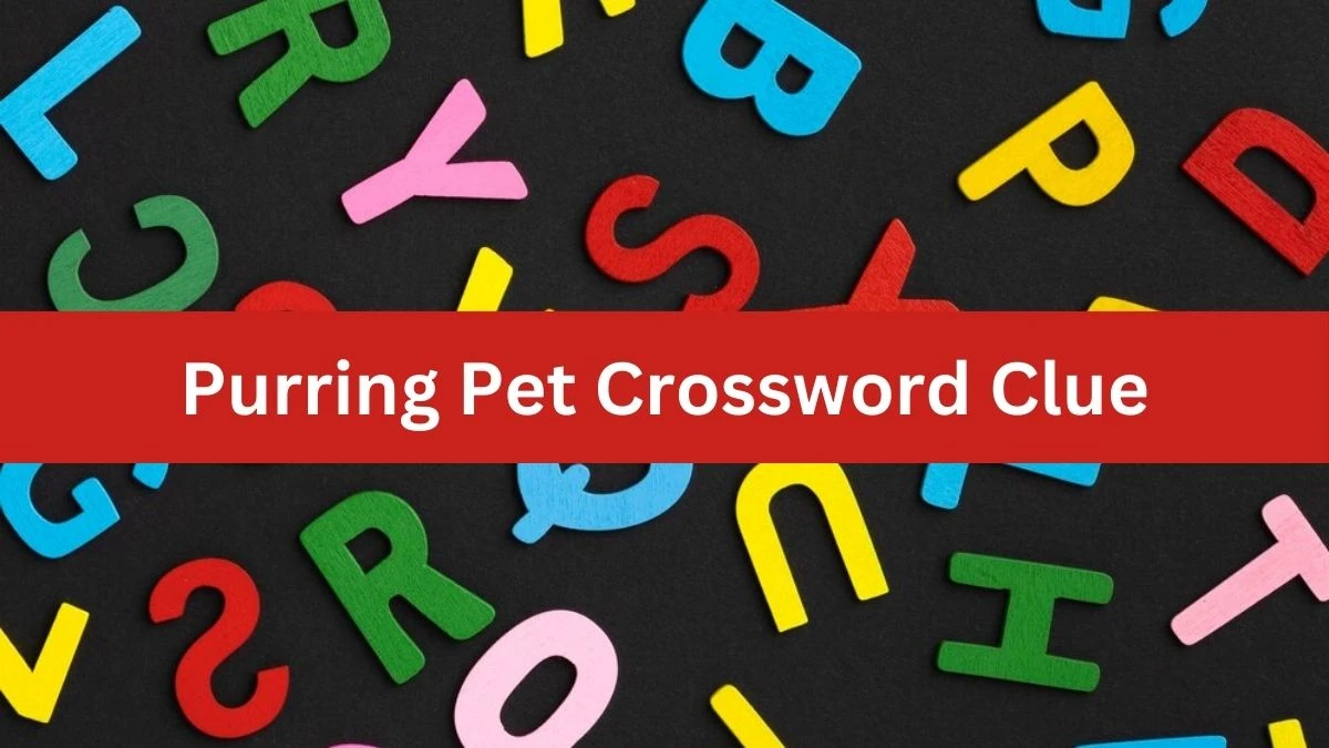 Purring Pet NYT Crossword Clue Puzzle Answer from July 16, 2024