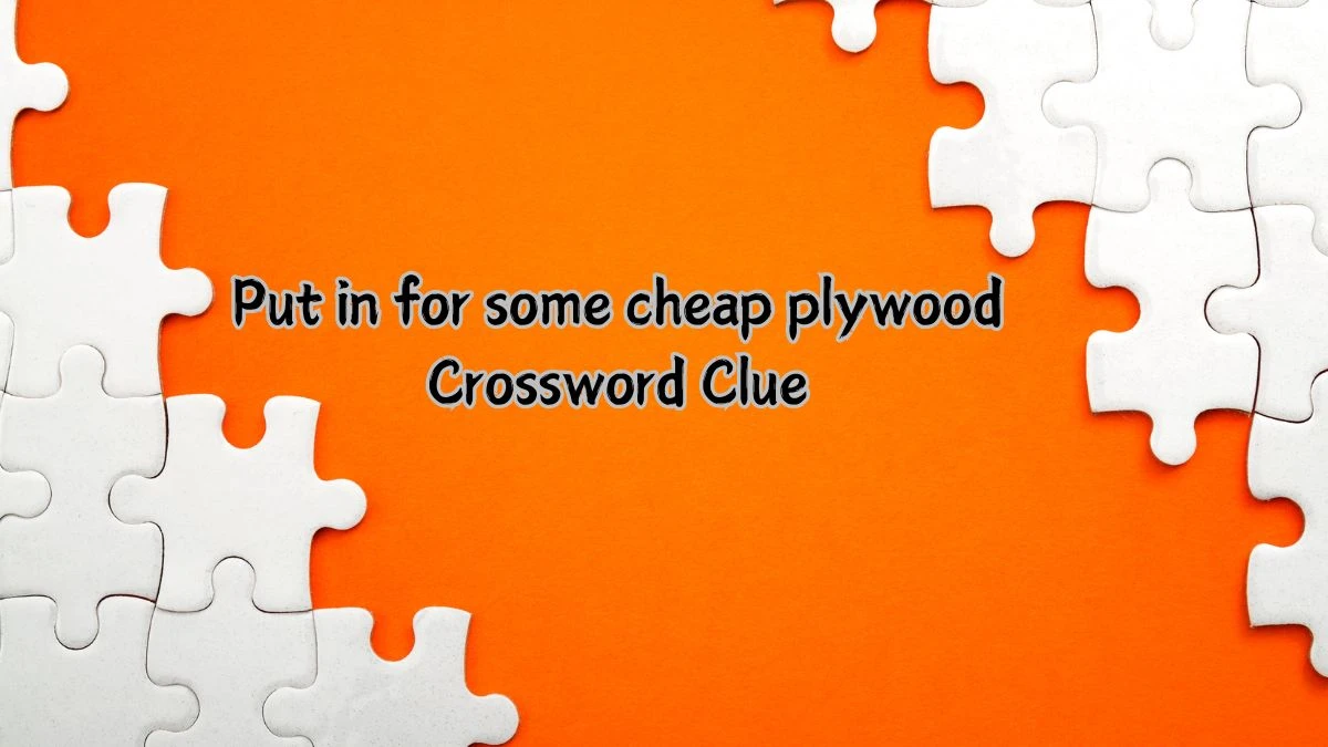 Put in for some cheap plywood Crossword Clue Puzzle Answer from August 01, 2024