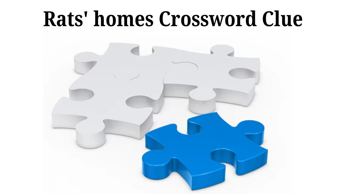 Rats' homes Daily Commuter Crossword Clue Puzzle Answer from July 30, 2024