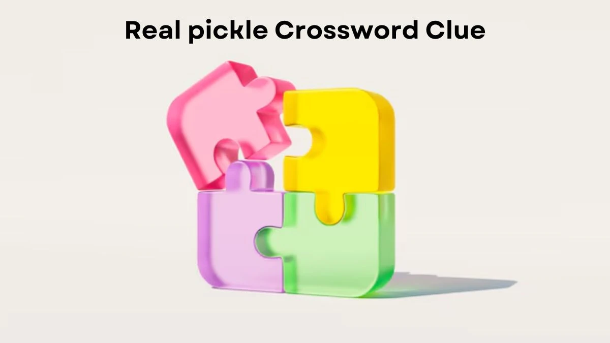 Real pickle Universal Crossword Clue Puzzle Answer from July 23, 2024