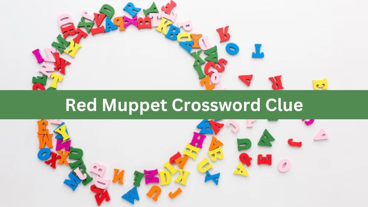 Daily Commuter Red Muppet Crossword Clue 4 Letters Puzzle Answer from July 24, 2024