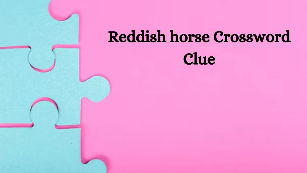 LA Times Reddish horse Crossword Puzzle Answer from July 26, 2024