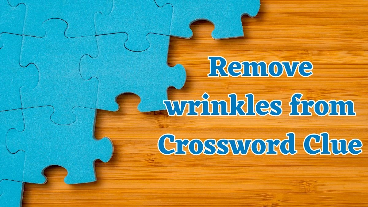 Remove wrinkles from Daily Commuter Crossword Clue Puzzle Answer from July 20, 2024