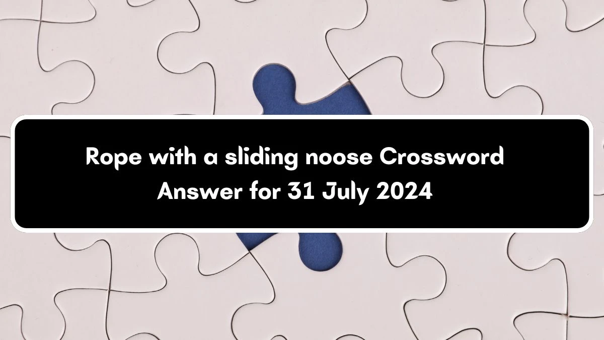 Rope with a sliding noose Irish Daily Mail Quick Puzzle Answer from July 31, 2024