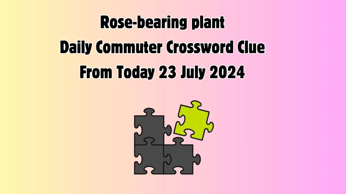 Rose-bearing plant Daily Commuter Crossword Clue Answers on July 23, 2024