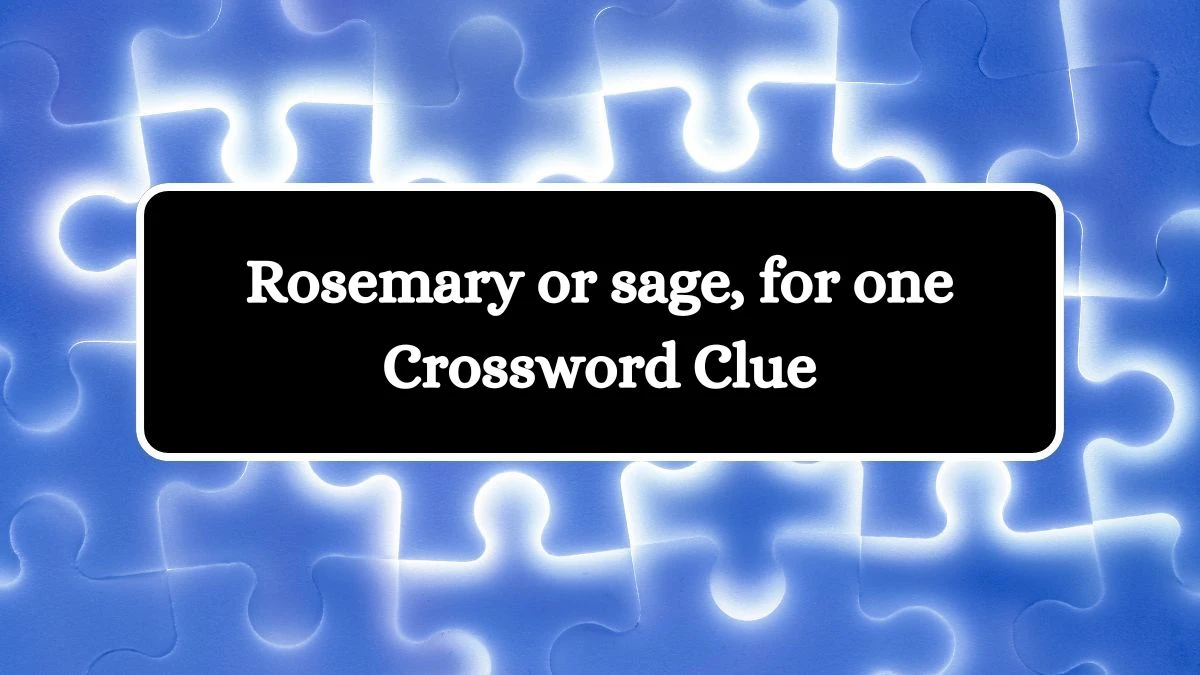 Daily Themed Rosemary or sage, for one Crossword Clue Puzzle Answer from July 26, 2024