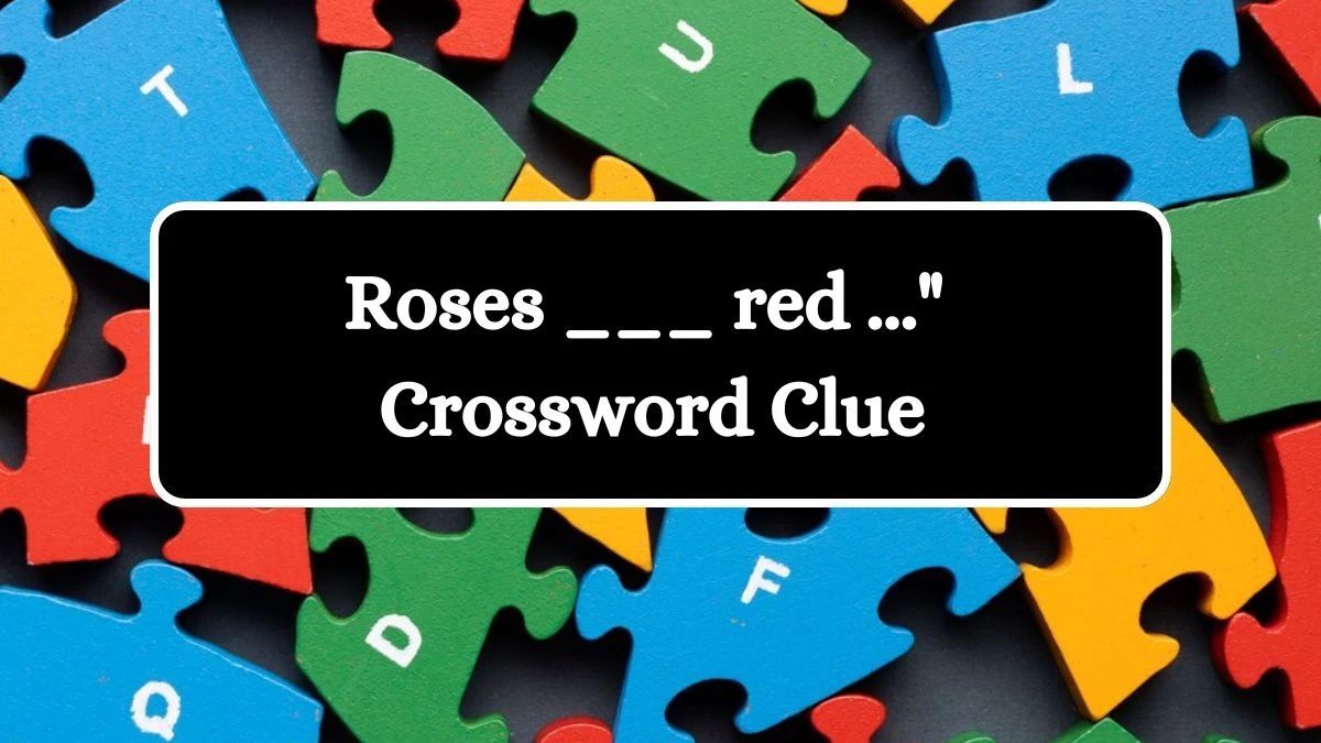 Daily Themed Roses ___ red ... Crossword Clue Puzzle Answer from July 31, 2024