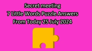 Secret meeting 7 Little Words Puzzle Answer from July 25, 2024