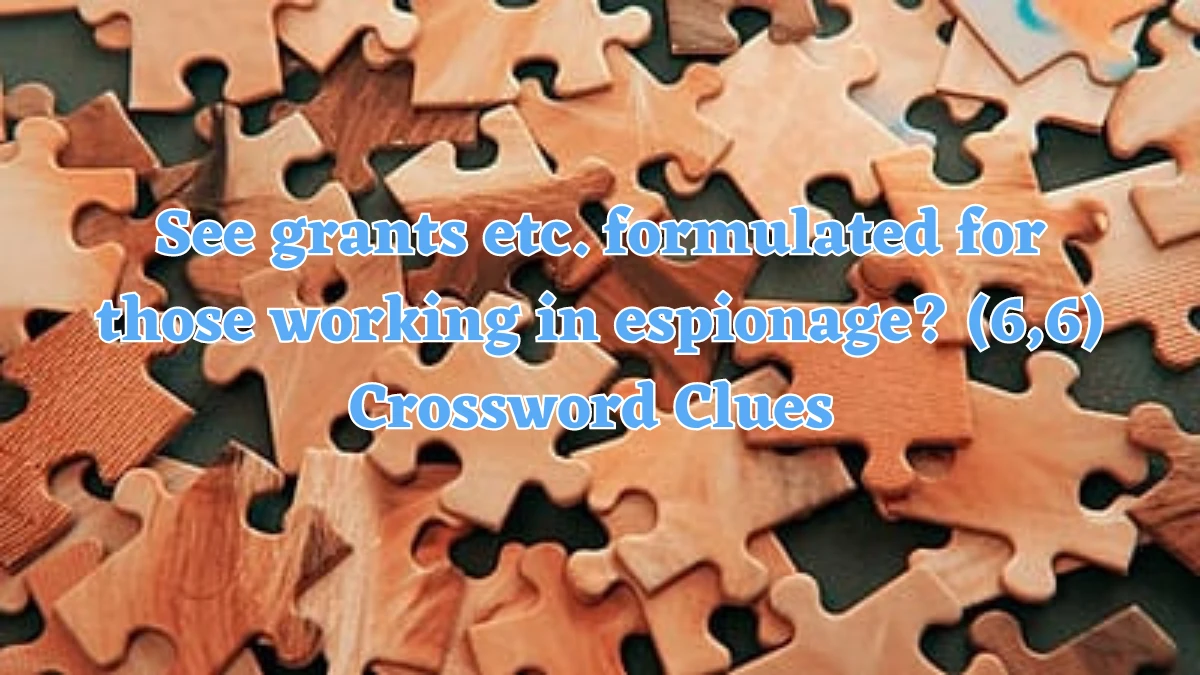 See grants etc. formulated for those working in espionage? (6,6) Crossword Clue Puzzle Answer from July 22, 2024