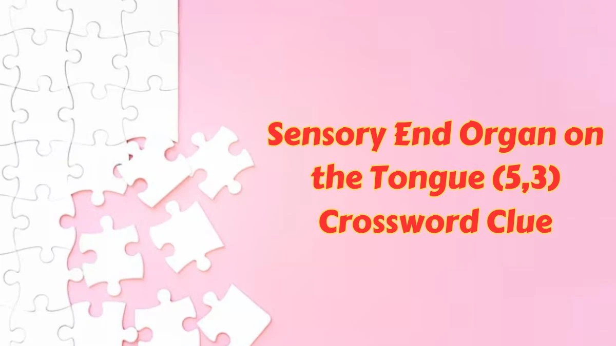 Irish Daily Mail Quick Sensory End Organ on the Tongue (5,3) Crossword Clue 8 Letters Puzzle Answer from July 09, 2024