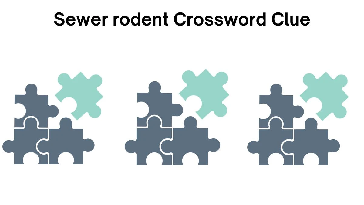 Sewer rodent Daily Themed Crossword Clue Puzzle Answer from July 19, 2024