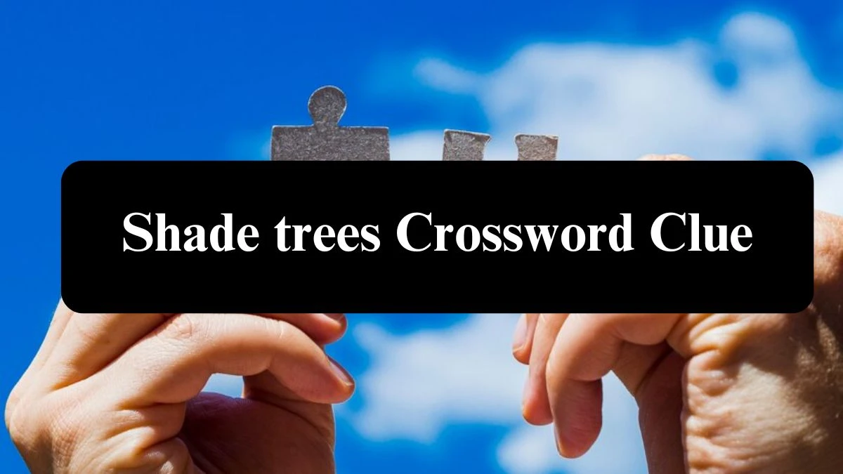 Shade trees Daily Commuter Crossword Clue Puzzle Answer from July 22, 2024