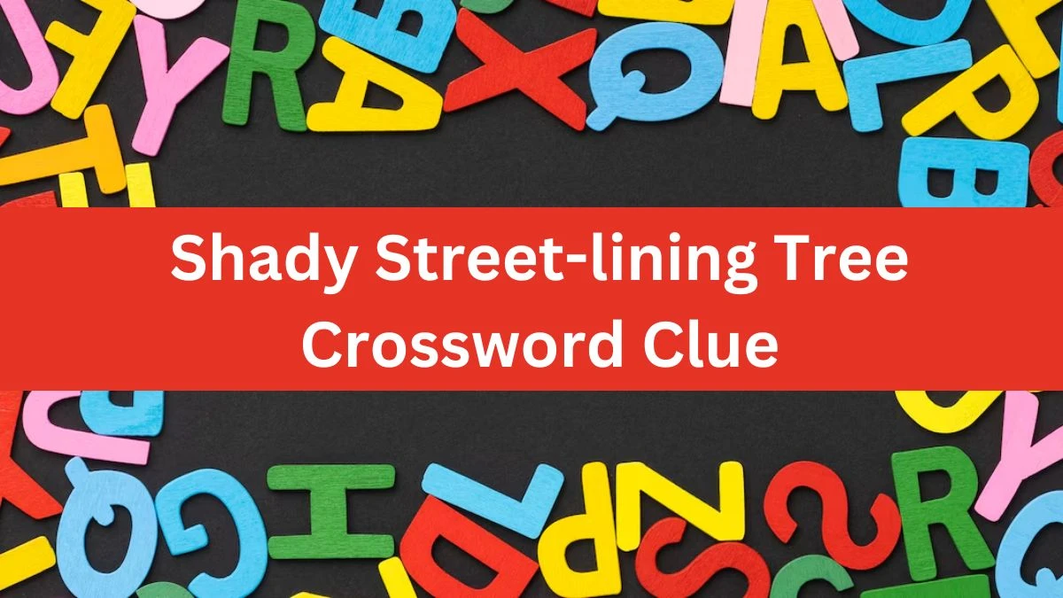 Shady Street-lining Tree Daily Themed Crossword Clue Answers on July 29, 2024