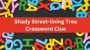 Shady Street-lining Tree Daily Themed Crossword Clue Answers on July 29, 2024