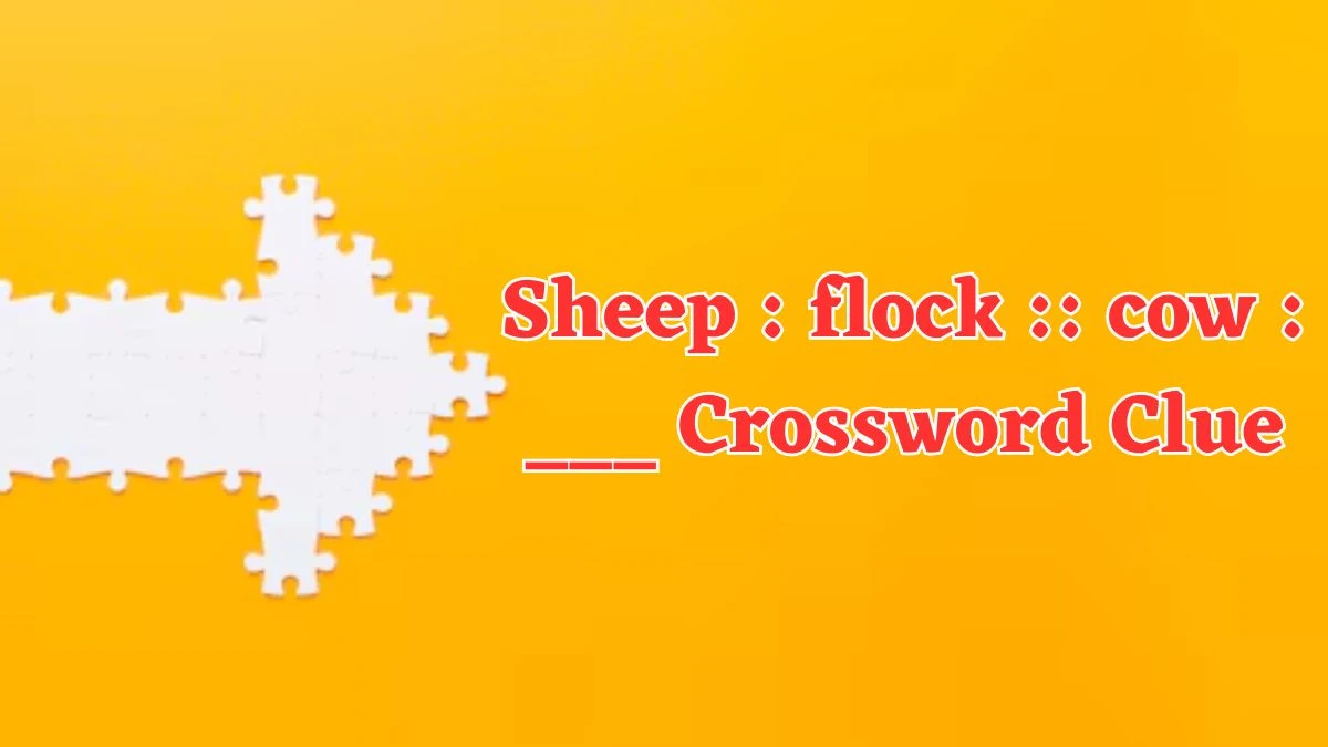 Sheep : flock :: cow : ___ NYT Crossword Clue Puzzle Answer on July 29, 2024