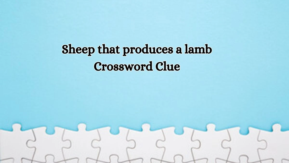 Daily Themed Sheep that produces a lamb Crossword Clue Puzzle Answer from July 11, 2024