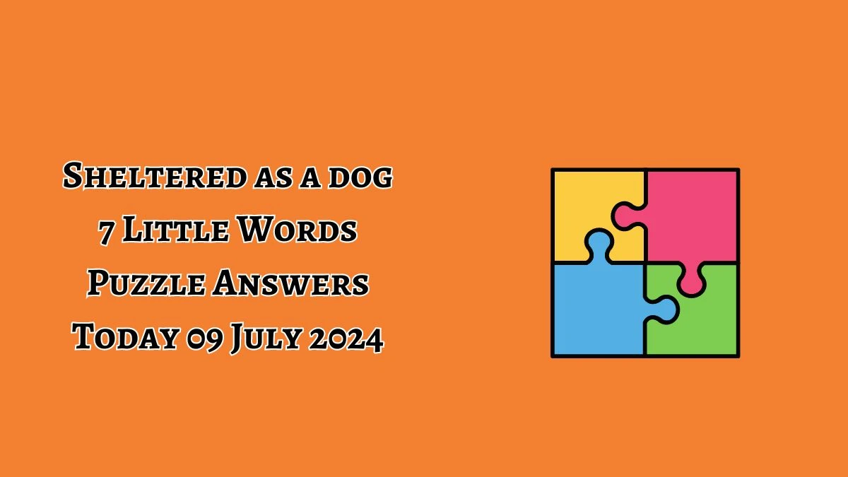 Sheltered as a dog 7 Little Words Puzzle Answer from July 09, 2024