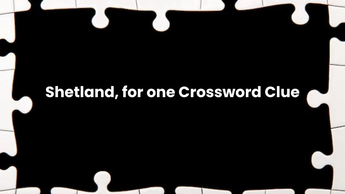 Shetland, for one Crossword Clue Answers on July 11, 2024