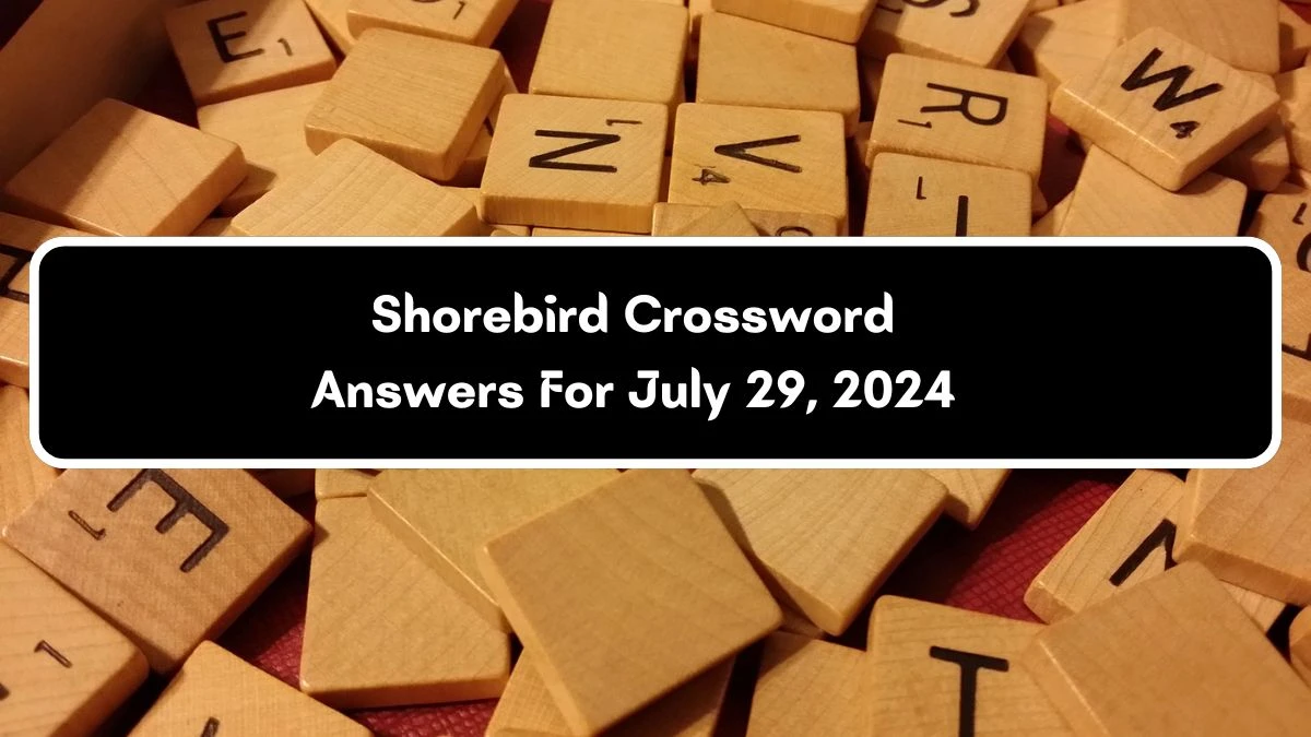 Shorebird Crossword Clue Puzzle Answer from July 29, 2024